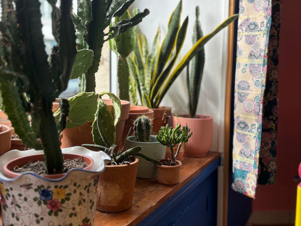 La Taqueria Alegria